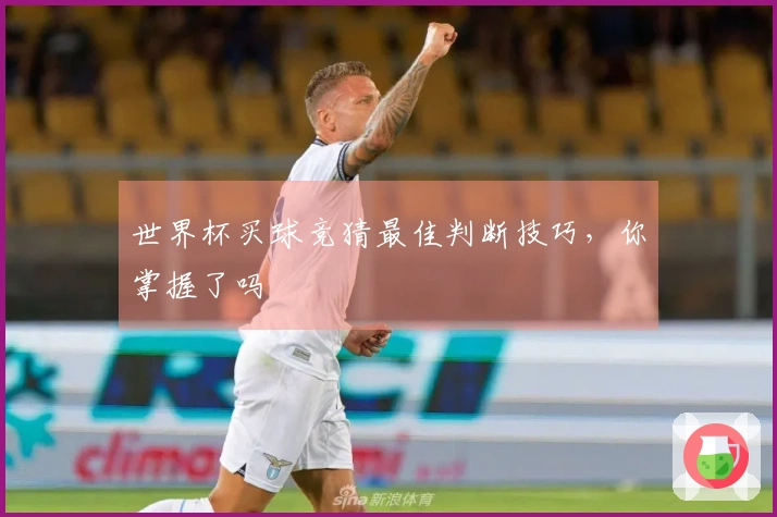 世界杯买球竞猜最佳判断技巧，你掌握了吗