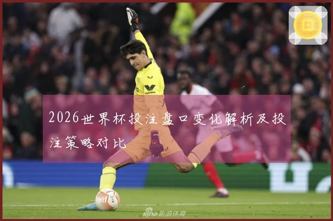 2026世界杯投注盘口变化解析及投注策略对比