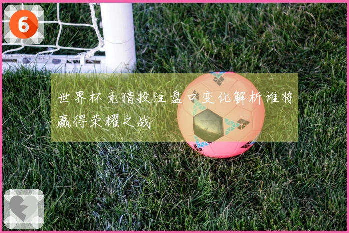 世界杯竞猜投注盘口变化解析谁将赢得荣耀之战