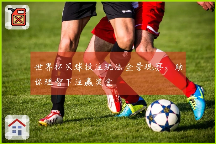 世界杯买球投注玩法全景观察，助你理智下注赢奖金