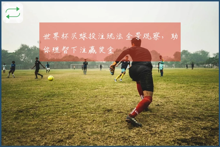 世界杯买球投注玩法全景观察,助你理智下注赢奖金